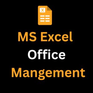 MS Excel Office Management